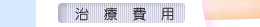 ���Ô�p